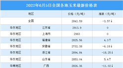 2022年6月6日全国各地最新玉米价格行情走势分析