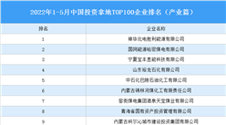 產業投資情報：2022年1-5月中國投資拿地TOP100企業排行榜（產業篇）