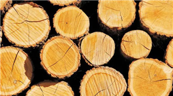 2022年5月中國原木及鋸材進口數據統計分析