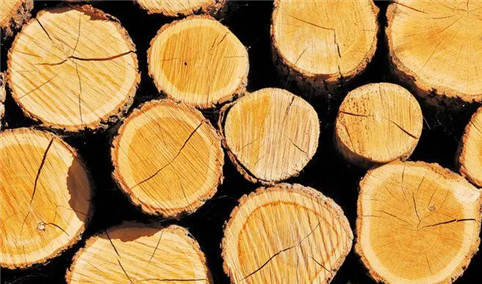 2022年5月中国原木及锯材进口数据统计分析