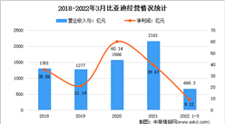 2022年中国动力电池行业市场前景及投资研究报告（简版）