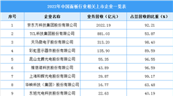 2022年中国显示面板行业上市龙头企业市场竞争格局分析（图）
