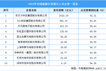 2022年中国显示面板行业上市龙头企业市场竞争格局分析（图）