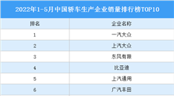 2022年1-5月中国轿车生产企业销量排行榜TOP10（附榜单）