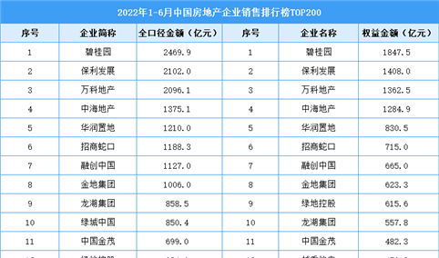 2022年1-6月中国房地产企业销售排行榜TOP200