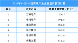 2022年1-6月中国房地产企业新增货值排行榜TOP100