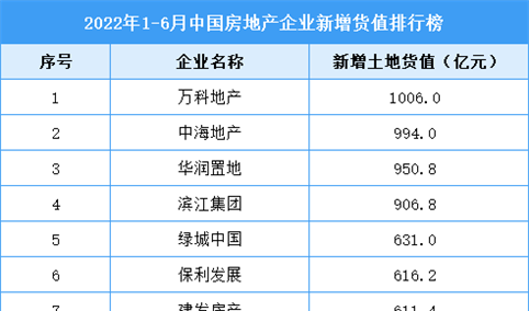 2022年1-6月中国房地产企业新增货值排行榜TOP100