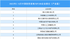產業投資情報：2022年1-6月中國投資拿地TOP100企業排行榜（產業篇）