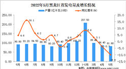 2022年5月黑龙江发电量数据统计分析