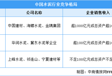 2022年中国水泥行业上市龙头企业市场竞争格局分析（图）