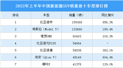 2022年上半年中国新能源SUV销量前十车型排行榜（附榜单）