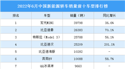 2022年6月中國新能源轎車銷量前十車型排行榜（附榜單）