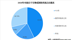 2022年中国分子生物学试剂市场现状及市场规模预测分析（图）