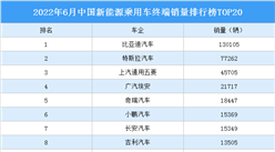 2022年6月中國新能源乘用車終端銷量排行榜TOP20（附榜單）
