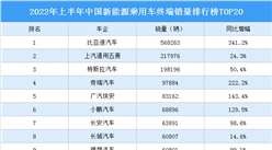 2022年上半年中国新能源乘用车终端销量排行榜TOP20（附榜单）