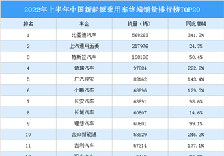 2022年上半年中国新能源乘用车终端销量排行榜TOP20（附榜单）