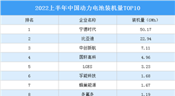2022上半年中国动力电池装机量TOP10（附榜单）