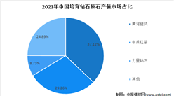 2022年中國培育鉆石行業上市龍頭企業市場競爭格局分析（圖）