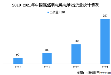 2022年中國氫燃料電池行業市場前景及投資研究報告（簡版）