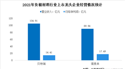 2022年中国负极材料行业上市龙头企业市场竞争格局分析（图）