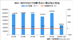 2022年1-6月中国帽类出口数据统计分析