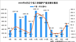 2022年6月辽宁工业锅炉产量数据统计分析