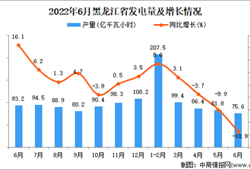 2022年6月黑龍江發電量數據統計分析