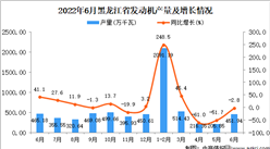 2022年6月黑龙江发动机产量数据统计分析
