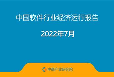 2022年7月中国软件行业经济运行报告（附全文）