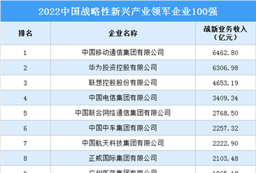 2022年中国战略性新兴产业领军企业100强（附全榜单）