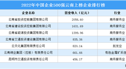 2022年中國企業500強云南上榜企業排行榜（附榜單）