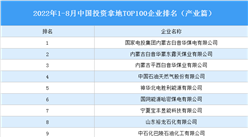 產業投資情報：2022年1-8月中國投資拿地TOP100企業排行榜（產業篇）