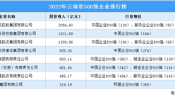 盤點：云南地區500強企業（2022）