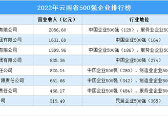 盘点：云南地区500强企业（2022）