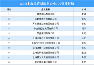 2022上海民营制造业企业100强排行榜（附榜单）