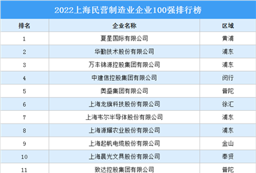 2022上海民营制造业企业100强排行榜（附榜单）