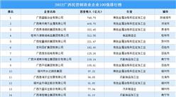 2022廣西民營制造業企業100強排行榜（附完整榜單）