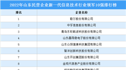 2022年山东民营企业新一代信息技术行业领军10强排行榜