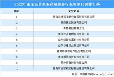 2022年山东民营企业高端装备行业领军10强排行榜（附榜单）