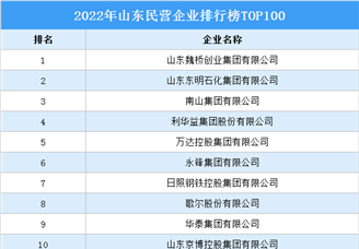 2022年山东民营企业排行榜TOP100（附榜单）