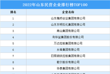 2022年山東民營企業排行榜TOP100（附榜單）