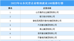 2022年山東民營企業吸納就業100強排行榜（附榜單）