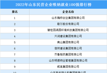2022年山东民营企业吸纳就业100强排行榜（附榜单）