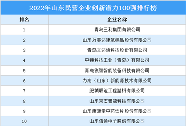 2022年山东民营企业创新潜力100强排行榜（附榜单）