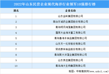 2022年山東民營企業現代海洋行業領軍10強（附榜單）