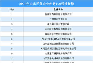 2022年山东民营企业创新100强排行榜（附榜单）