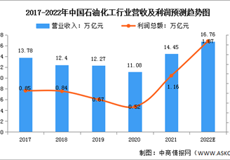 2022年中國石油化工市場現(xiàn)狀及大型項目預(yù)測分析（圖）