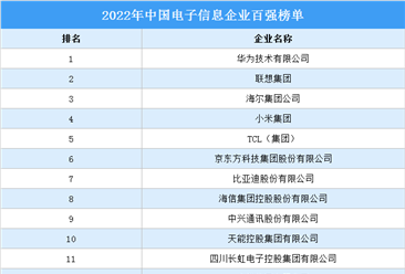 2022年中国电子信息企业百强榜单