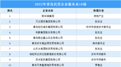 2022年青島民營企業服務業TOP10排行榜