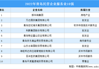 2022年青岛民营企业服务业TOP10排行榜